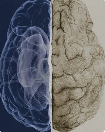 使用维生素B1衍生物治疗阿尔茨海默病的新方法(图7) 使用维生素B1衍生物治疗阿尔茨海默病的新方法(图7)