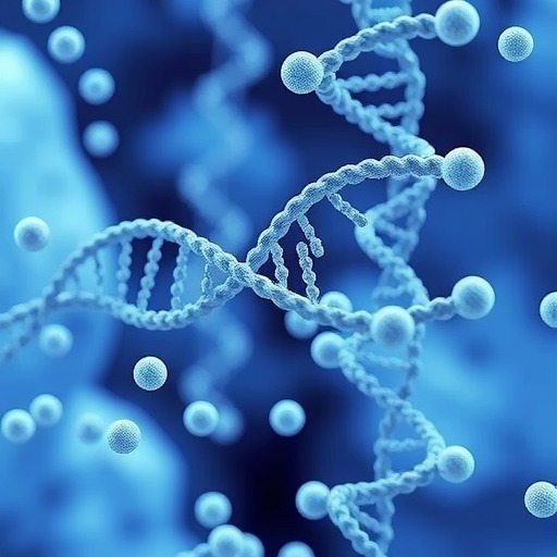 通过蛋白与蛋白、蛋白与DNA相互作用控制ssDNA结合蛋白的相分离(图2) 通过蛋白与蛋白、蛋白与DNA相互作用控制ssDNA结合蛋白的相分离(图2)
