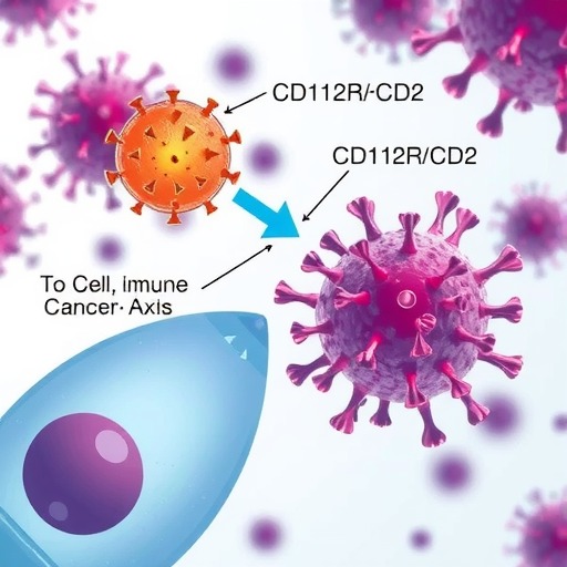 肿瘤免疫治疗中的CD112R/CD112轴(图5)