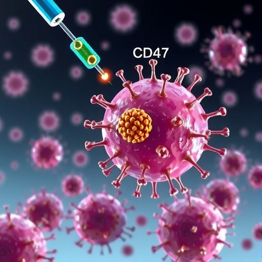 肿瘤免疫治疗之CD47靶向双抗(图3)