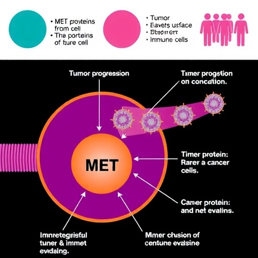 谈谈肿瘤免疫：MET(图4)