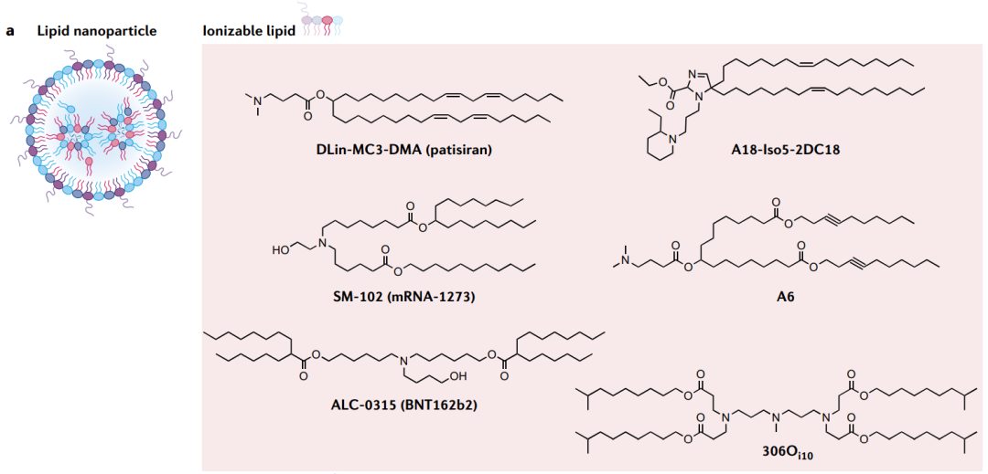 mRNA疫苗的设计和载体(图2)