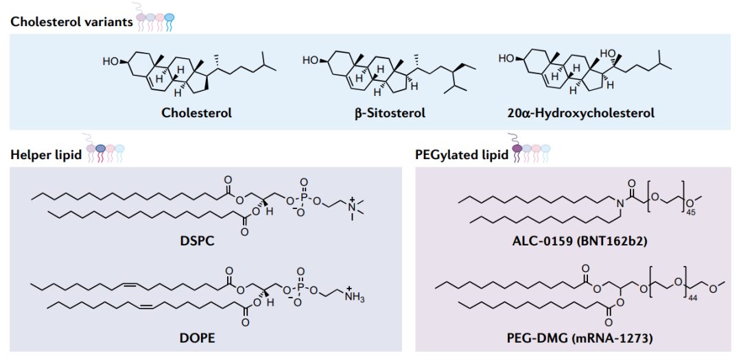 mRNA疫苗的设计和载体(图3)