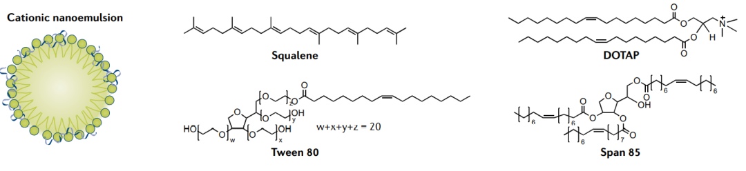 mRNA疫苗的设计和载体(图6)