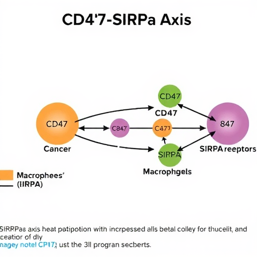 小药谈肿瘤免疫：CD47-SIRPa轴(图3)