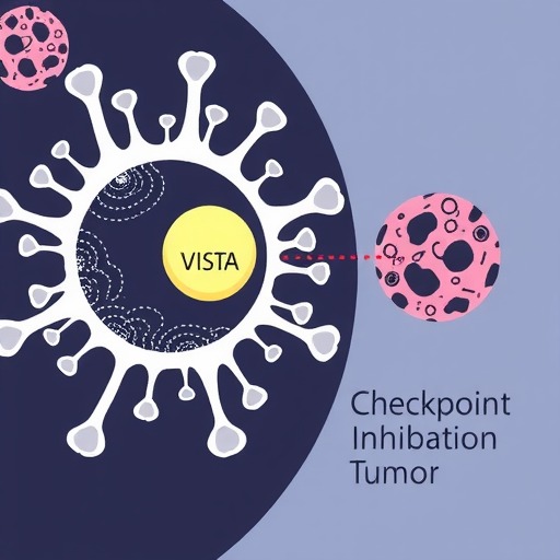小药谈肿瘤免疫：VISTA(图3)
