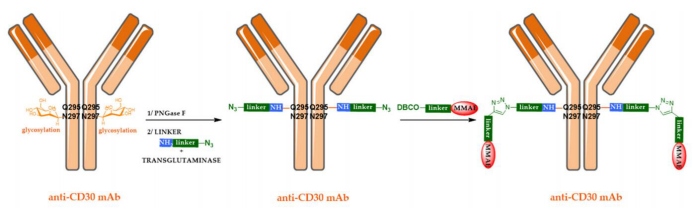 ADC概论：第三代ADC(图3)