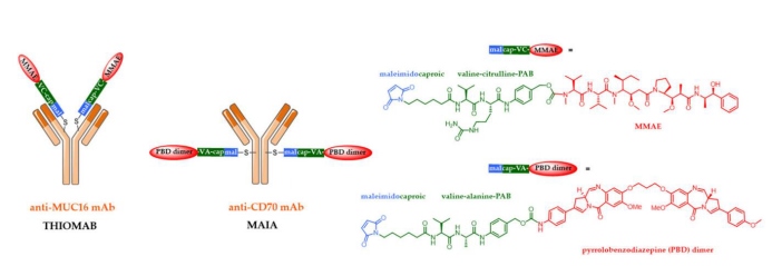 ADC概论：第三代ADC(图1)