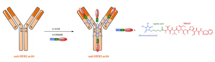 ADC概论：第三代ADC(图4)