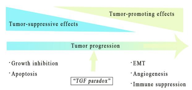 小药谈肿瘤免疫：TGF-β(图4)