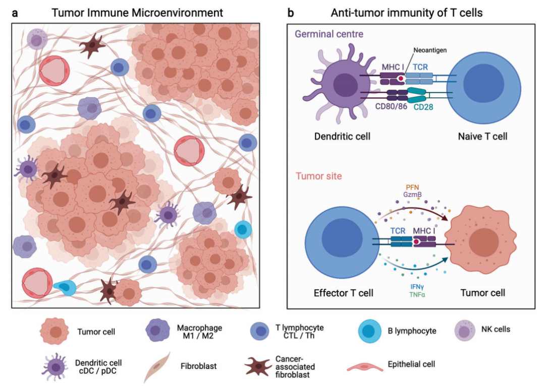 从免疫组学到单细胞分析和人工智能(图1)