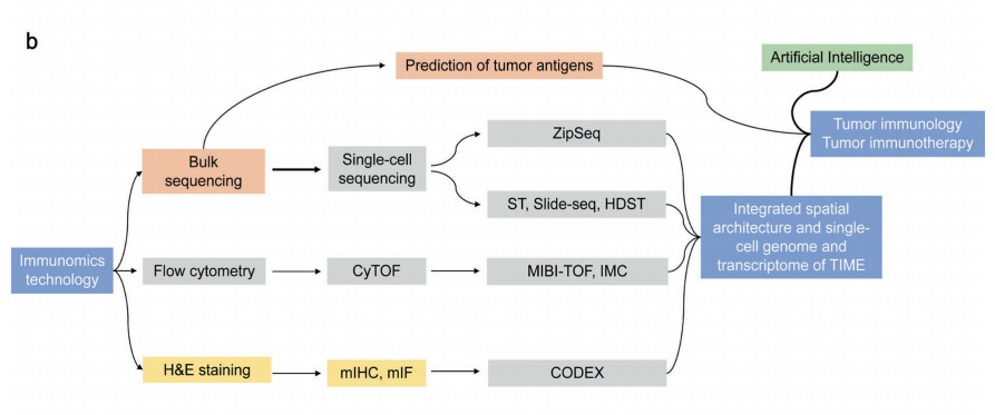 从免疫组学到单细胞分析和人工智能(图5)