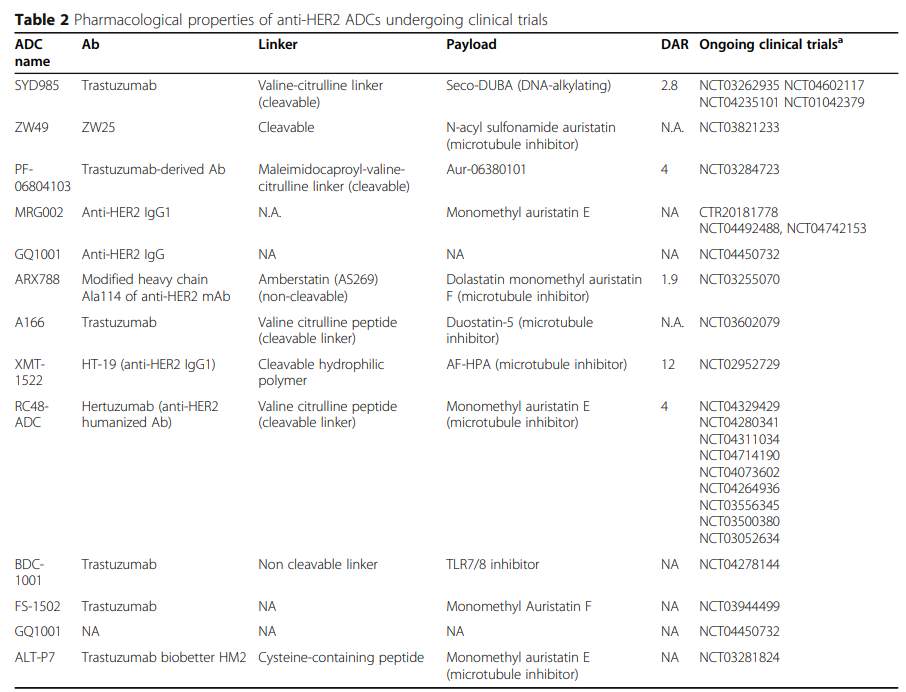 HER2阳性乳腺癌中ADC治疗的现状和未来方向(图1)