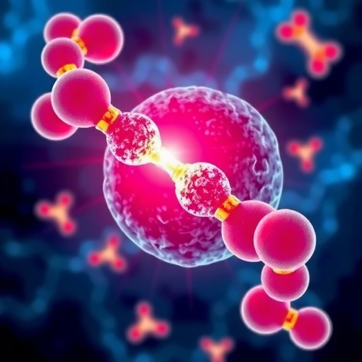 HER2阳性乳腺癌中ADC治疗的现状和未来方向(图2)