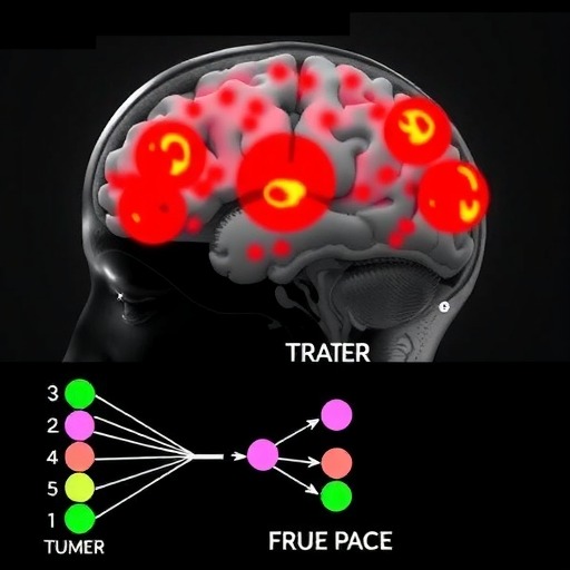 使用深度学习进行脑肿瘤检测和定位：Part2(图3)