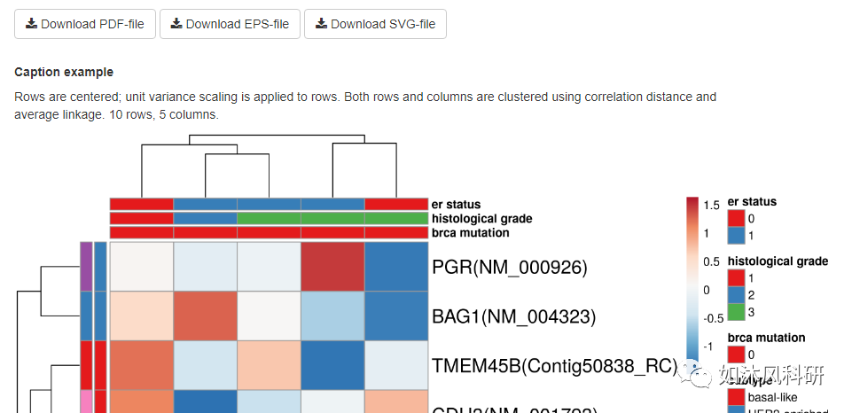 热图绘制的小技巧(图8)