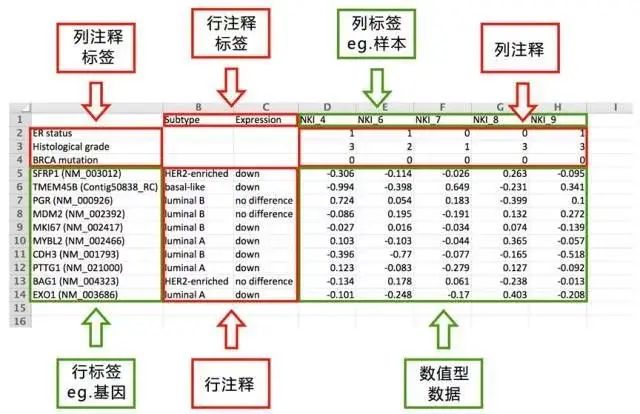 热图绘制的小技巧(图3)