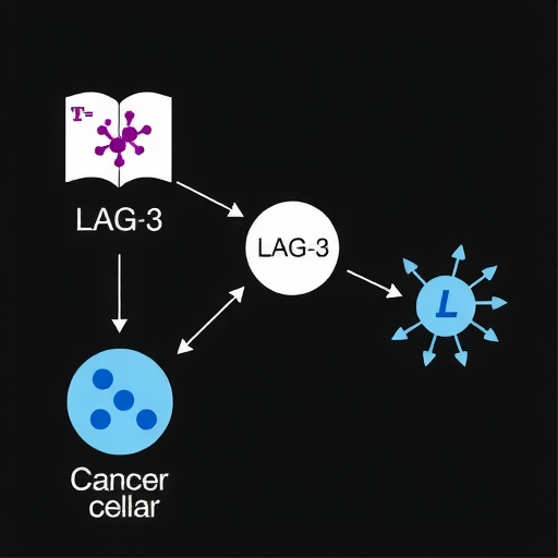 一文了解肿瘤免疫：LAG-3(图4)