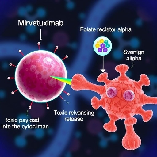 Mirvetuximab Soravtansine的作用机制、临床与转化(图3) Mirvetuximab Soravtansine的作用机制、临床与转化(图3)
