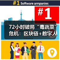 72小时破局“毒蔬菜”危机：区块链+数字人民币如何重塑食品安全新秩序（图1）