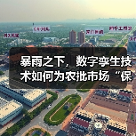 暴雨之下，数字孪生技术如何为农批市场“保驾护航”？（图2）