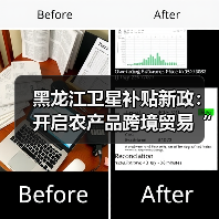 黑龙江卫星补贴新政：开启农产品跨境贸易“数字新纪元”（图3）