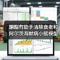 酮酯有助于清除衰老和阿尔茨海默病小鼠模型中的错误折叠蛋白质（图2）