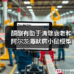 酮酯有助于清除衰老和阿尔茨海默病小鼠模型中的错误折叠蛋白质（图1）