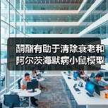 酮酯有助于清除衰老和阿尔茨海默病小鼠模型中的错误折叠蛋白质（图3）