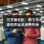 元宇宙农批：数字革命重构农业流通新秩序（图1）
