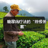糖尿病疗法的“终极答案”（图1）