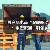 农产品电商“双轮驱动”：重塑流通，引领乡村振兴新变革（图2）