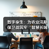 数字孪生：为农业汛期保卫战筑牢“智慧长城”（图4）