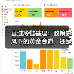 县域冷链基建：政策东风下的黄金赛道，还是暗藏风险的资本游戏？（图4）