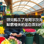 研究揭示了与阿尔茨海默病相关的蛋白质如何影响神经元生长(图3) 研究揭示了与阿尔茨海默病相关的蛋白质如何影响神经元生长(图3)