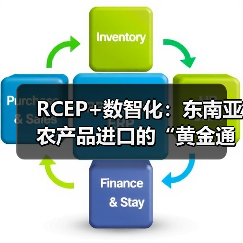 RCEP+数智化：东南亚农产品进口的“黄金通道”正在打通！（图3）