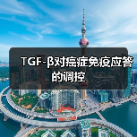 TGF-β对癌症免疫应答的调控(图1) TGF-β对癌症免疫应答的调控(图1)