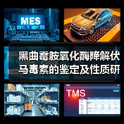 黑曲霉胺氧化酶降解伏马毒素的鉴定及性质研究(图4) 黑曲霉胺氧化酶降解伏马毒素的鉴定及性质研究(图4)