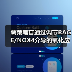薯蓣皂苷通过调节RAGE/NOX4介导的氧化应激和炎症，可缓解阿尔茨海默病（图2）
