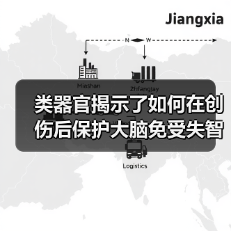 类器官揭示了如何在创伤后保护大脑免受失智和ALS的伤害(图2) 类器官揭示了如何在创伤后保护大脑免受失智和ALS的伤害(图2)