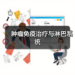 肿瘤免疫治疗与淋巴系统（图1）