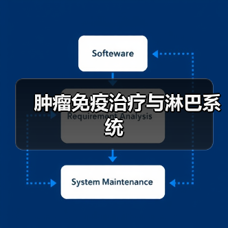 肿瘤免疫治疗与淋巴系统（图4）