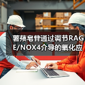 薯蓣皂苷通过调节RAGE/NOX4介导的氧化应激和炎症，可缓解阿尔茨海默病（图4）