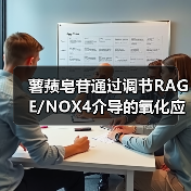 薯蓣皂苷通过调节RAGE/NOX4介导的氧化应激和炎症，可缓解阿尔茨海默病（图3）