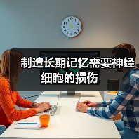 制造长期记忆需要神经细胞的损伤(图3) 制造长期记忆需要神经细胞的损伤(图3)