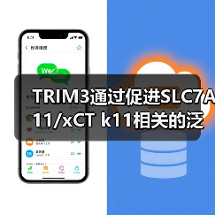 TRIM3通过促进SLC7A11/xCT k11相关的泛素化和降解,加速非小细胞肺癌的铁凋亡(图1) TRIM3通过促进SLC7A11/xCT k11相关的泛素化和降解,加速非小细胞肺癌的铁凋亡(图1)