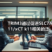TRIM3通过促进SLC7A11/xCT k11相关的泛素化和降解,加速非小细胞肺癌的铁凋亡(图4) TRIM3通过促进SLC7A11/xCT k11相关的泛素化和降解,加速非小细胞肺癌的铁凋亡(图4)