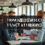 TRIM3通过促进SLC7A11/xCT k11相关的泛素化和降解,加速非小细胞肺癌的铁凋亡(图3) TRIM3通过促进SLC7A11/xCT k11相关的泛素化和降解,加速非小细胞肺癌的铁凋亡(图3)