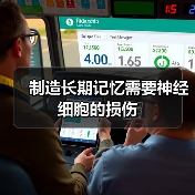 制造长期记忆需要神经细胞的损伤(图2) 制造长期记忆需要神经细胞的损伤(图2)