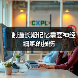 制造长期记忆需要神经细胞的损伤(图1) 制造长期记忆需要神经细胞的损伤(图1)